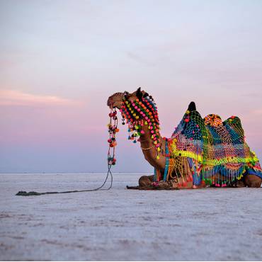 Rann of Kutch